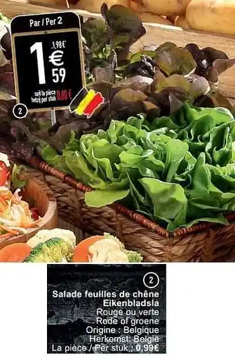 Cora Salade feuilles de chêne eikenbladsla aanbieding