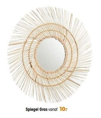 Kwantum Spiegel gras aanbieding