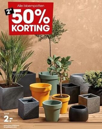 Kwantum Bloempotten aanbieding