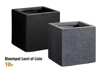 Kwantum Bloempot locri of lisio aanbieding