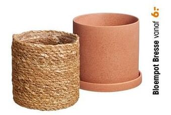 Kwantum Bloempot bresse aanbieding