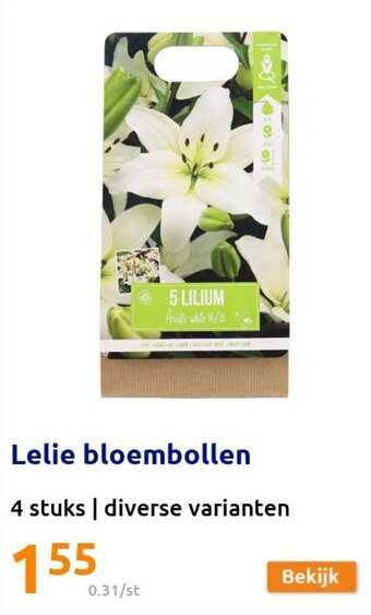 Action Lelie bloembollen aanbieding