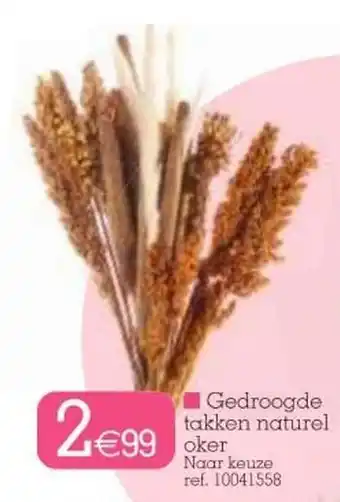 Yess Gedroogde takken naturel oker aanbieding