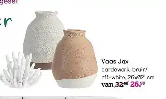 Leen Bakker Vaas Jax aanbieding
