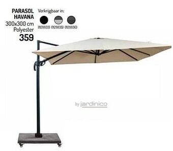 Parasol havana
