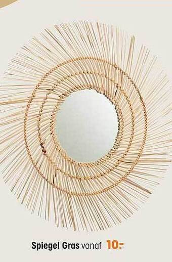 Kwantum Spiegel Gras aanbieding