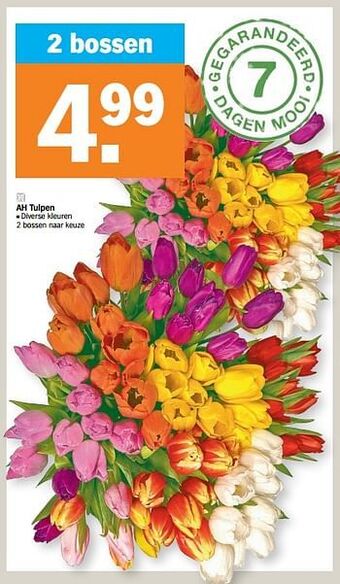 Albert Heijn Ah tulpen aanbieding