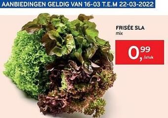 Alvo Frisée sla aanbieding