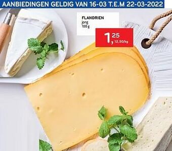 Alvo Flandrien jong aanbieding