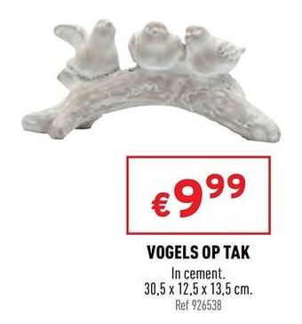 Trafic Vogels op tak aanbieding