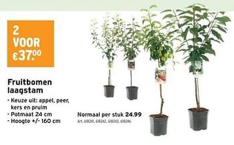 Fruitbomen laagstam