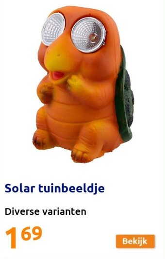 Action Solar tuinbeeldje aanbieding