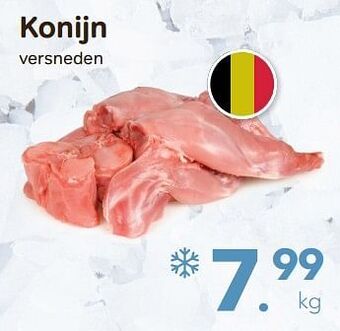 Konijn