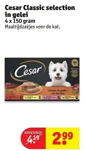 Cesar classic selection in gelei