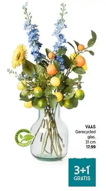 Xenos Vaas aanbieding