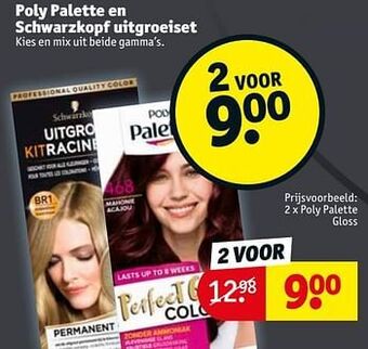 Kruidvat Poly palette gloss aanbieding