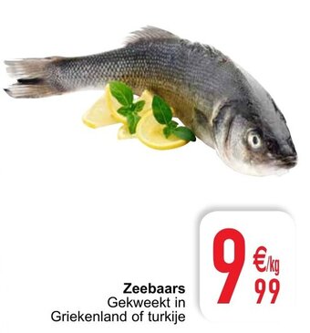 Cora Zeebaars aanbieding