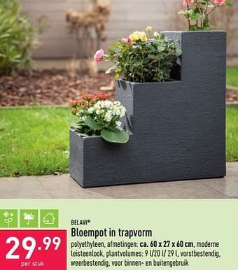 ALDI Bloempot in trapvorm aanbieding