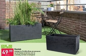 ALDI Bloembak aanbieding