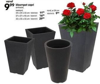 Bloempot capri