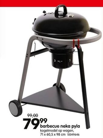 Barbecue neka pyla