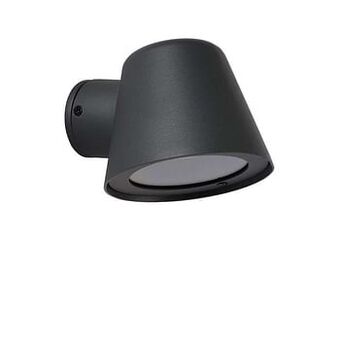 Leen Bakker Lucide LED wandlamp buiten DINGO IP44 - antraciet - 14,5x11,5x9 cm - Leen Bakker aanbieding