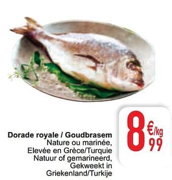 Cora Dorade royale - goudbrasem aanbieding