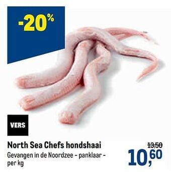 North sea chefs hondshaai