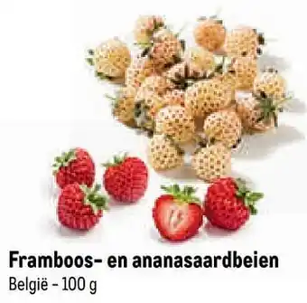 Makro Framboos- en ananasaardbeien aanbieding