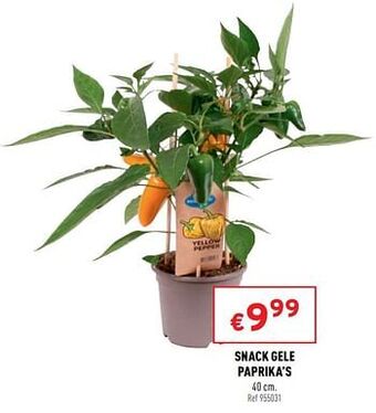 Snack gele paprika`s
