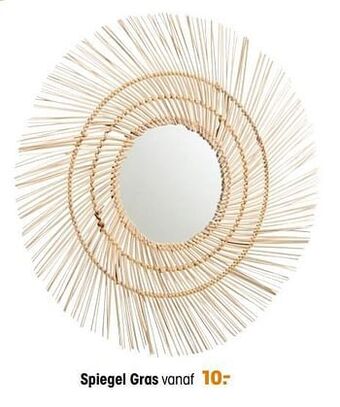Kwantum Spiegel gras aanbieding
