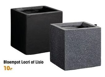 Kwantum Bloempot locri of lisio aanbieding