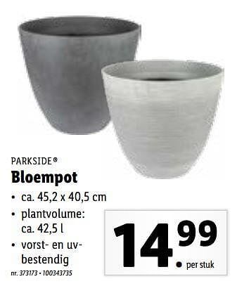 Lidl Bloempot aanbieding