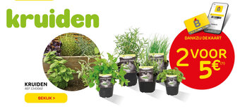 Brico Kruiden aanbieding
