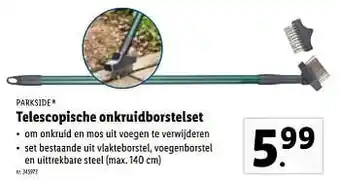 Lidl Telescopische onkruidborstelset aanbieding