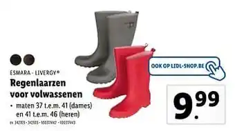 Regenlaarzen voor volwassenen