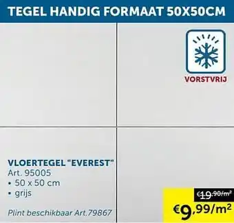 Zelfbouwmarkt Vloertegel everest aanbieding