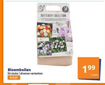 Action Bloembollen aanbieding