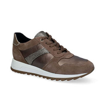 Torfs Geox Tabelya Taupe Veterschoenen aanbieding