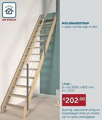 Molenaarstrap large