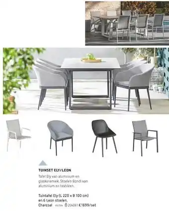 Tuintafel ely en 6 leon stoelen charcoal (L 220 x 100 cm)