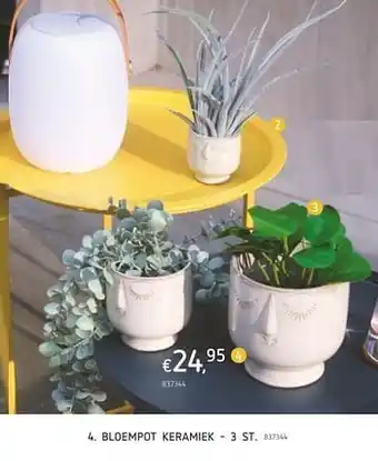 Bloempot keramiek