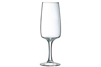 Makro Luminarc Champagneglas Equipe Home 17 cl transparant aanbieding