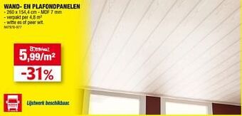 Hubo Wand- en plafondpanelen aanbieding