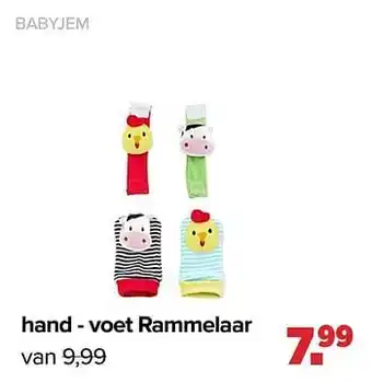 Hand - voet rammelaar