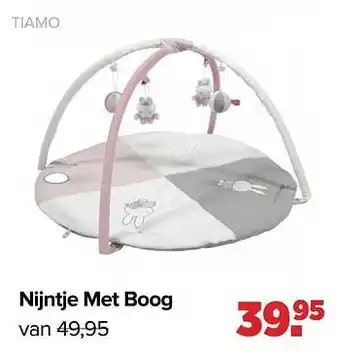Nijntje met boog