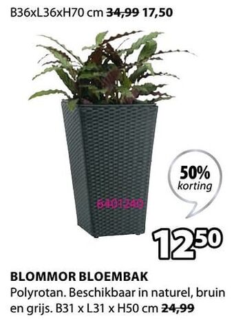 Jysk Blommor bloembak aanbieding