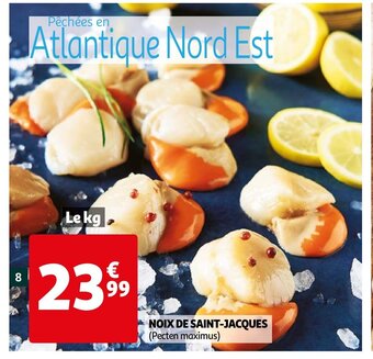 Noix De Saint-Jacques