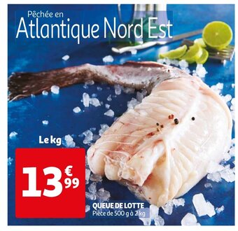 Auchan Queue De Lotte aanbieding
