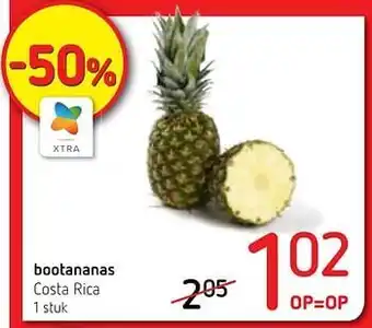 Bootananas costa rica